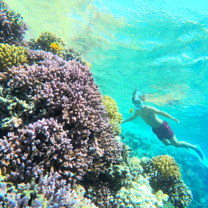 Sharm El Naga