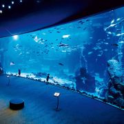 Marele acvariu din Hurghada