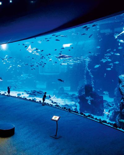 Marele acvariu din Hurghada