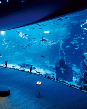 Marele acvariu din Hurghada