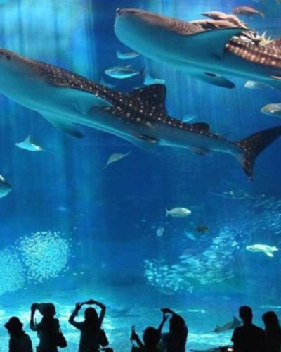 Marele acvariu din Hurghada