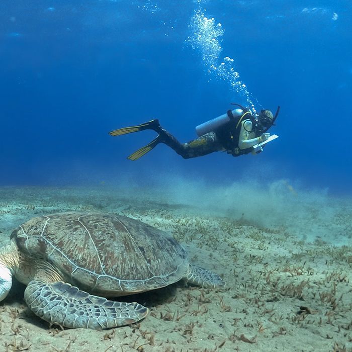 Marsa Alam